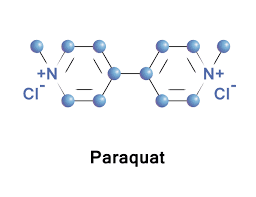 Paraquat